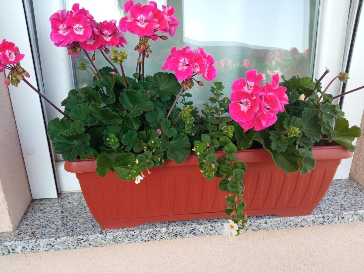 Apartman Vidovic Apartment Korenica Bagian luar foto