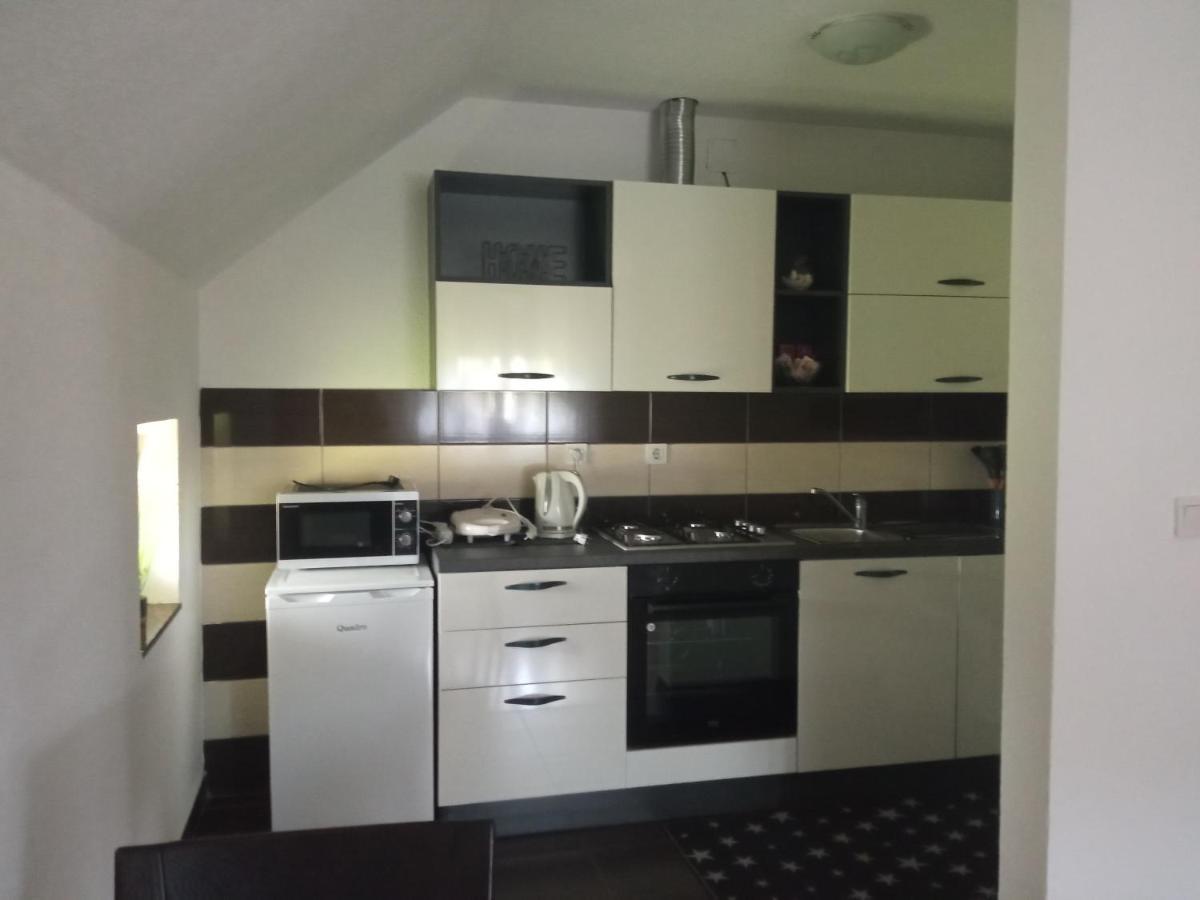 Apartman Vidovic Apartment Korenica Bagian luar foto