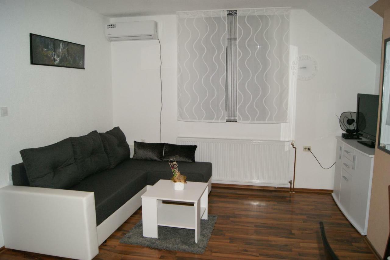 Apartman Vidovic Apartment Korenica Bagian luar foto