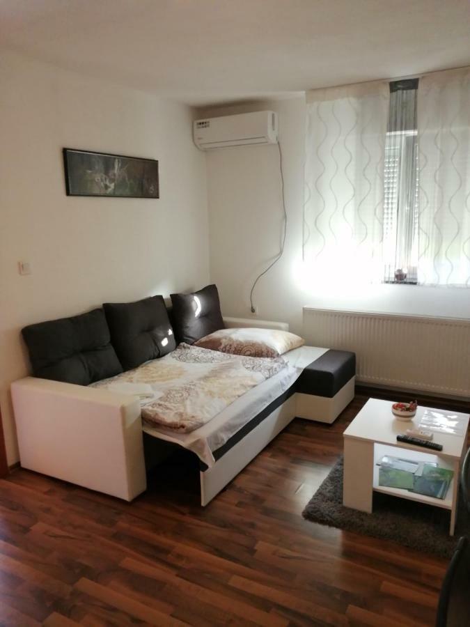 Apartman Vidovic Apartment Korenica Bagian luar foto